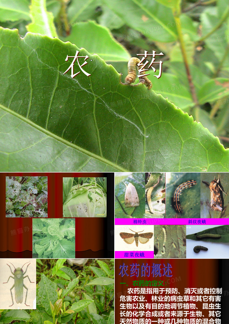农药