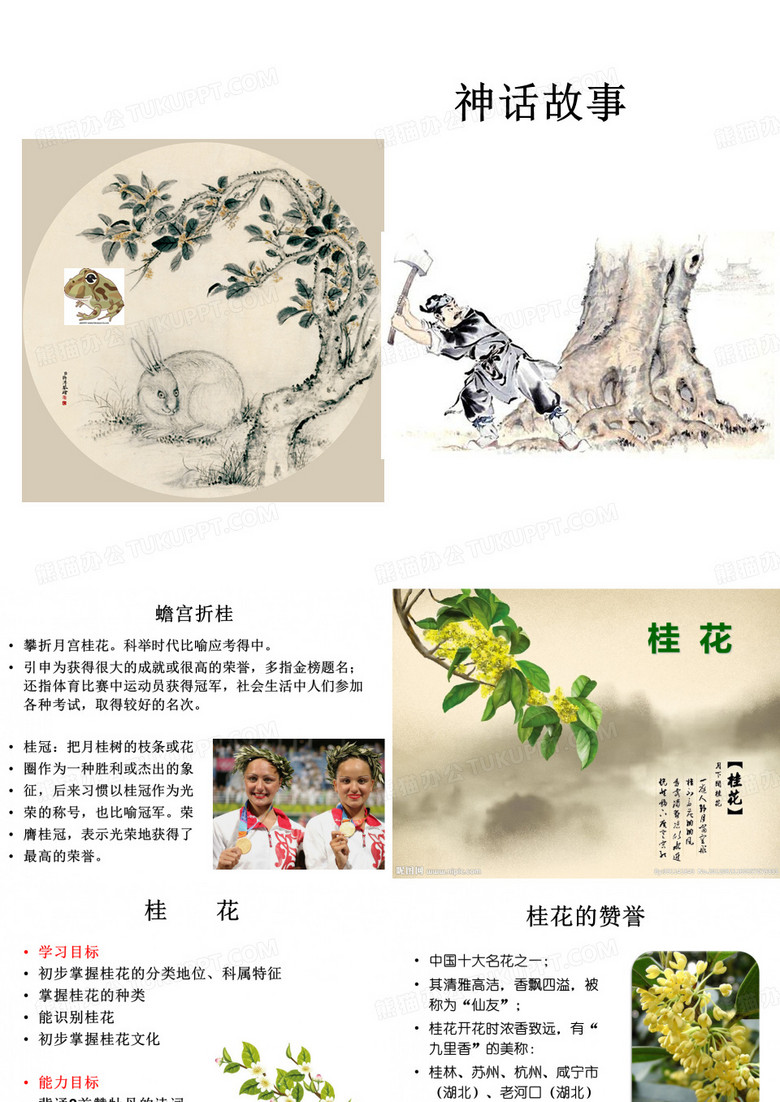 桂花