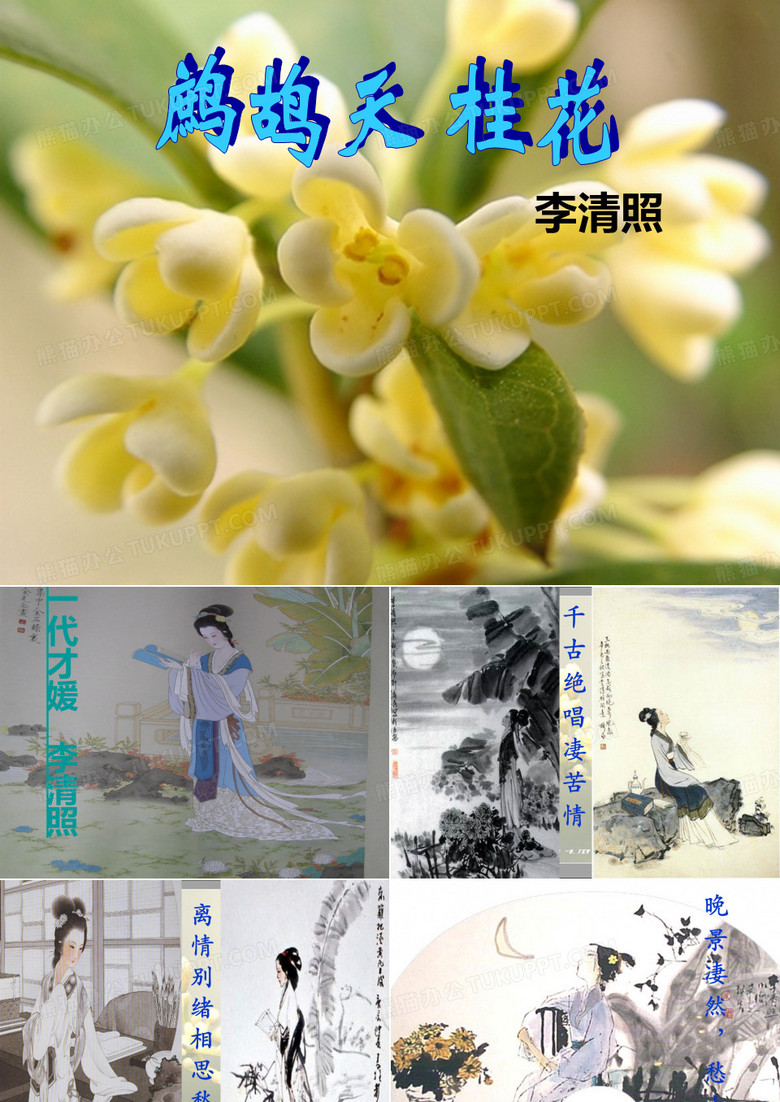 鹧鸪天。桂花