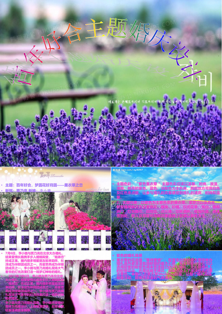 薰衣草主题婚礼——薰衣草之恋