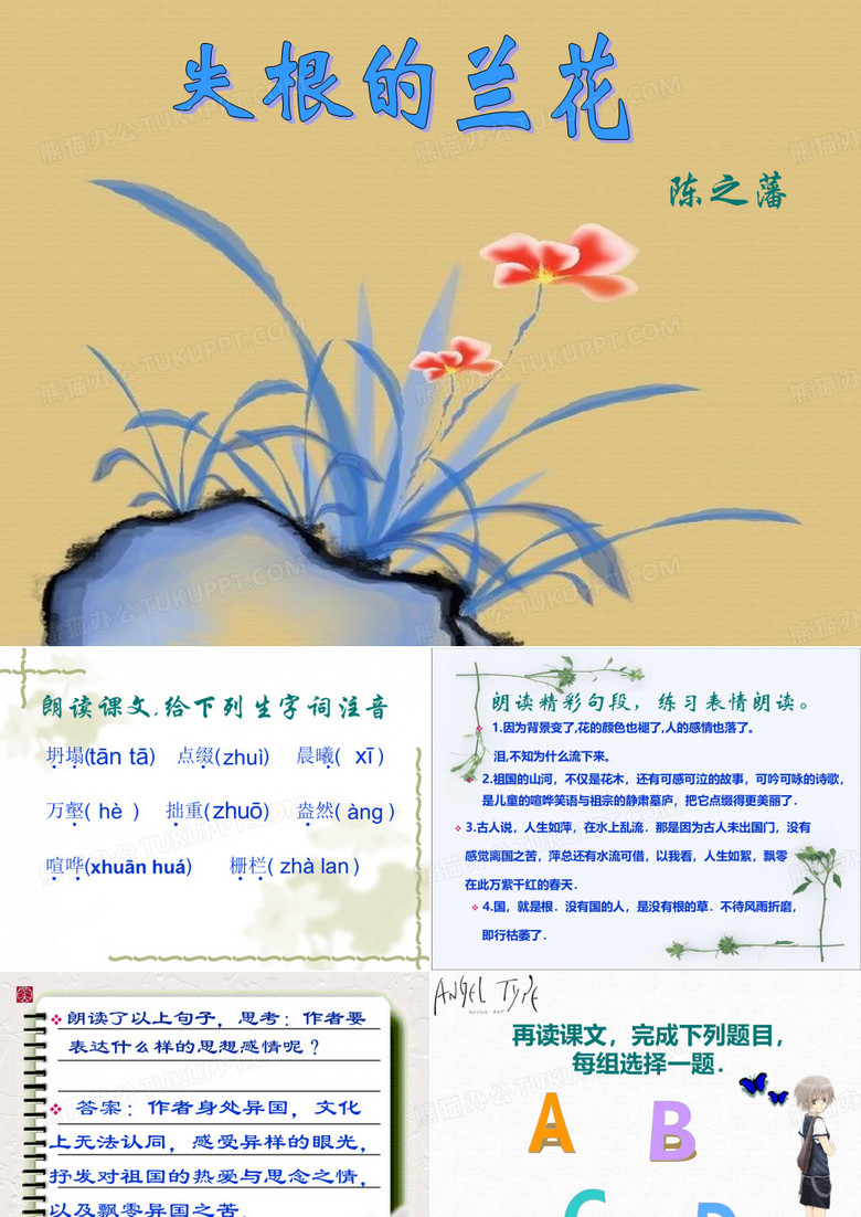 失根的兰花