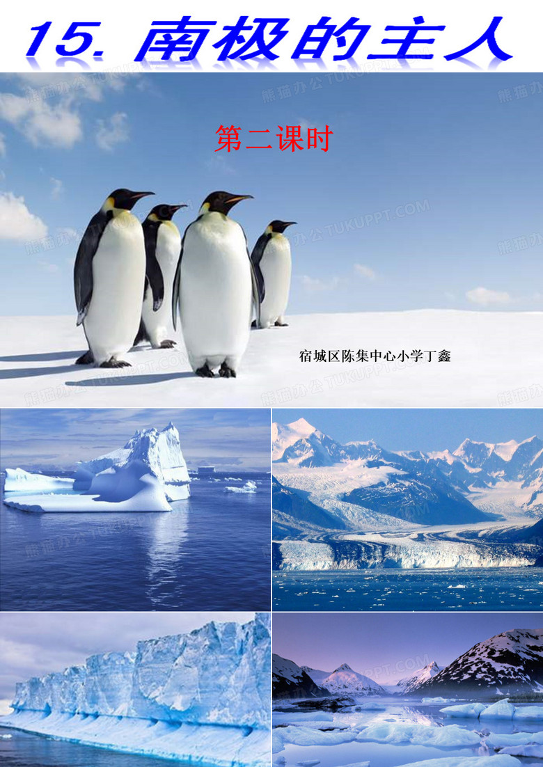 南极的主人