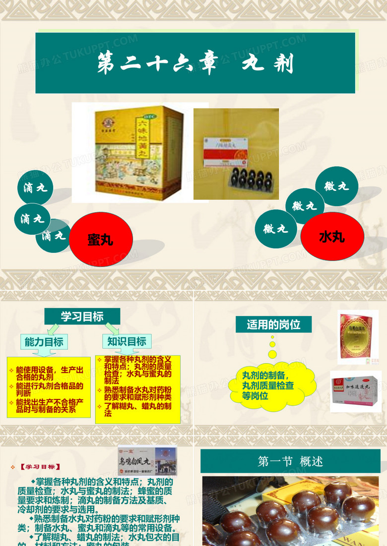中药药剂_丸剂PPT模板下载_编号lmyywngk_熊猫办公