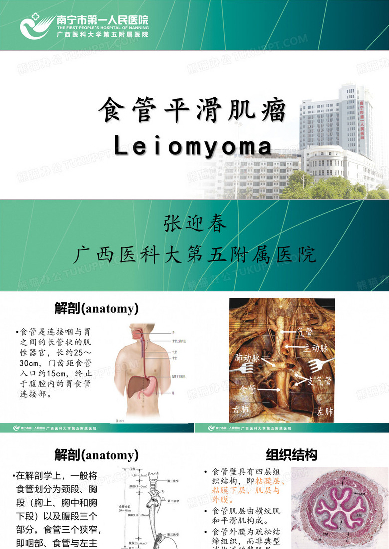 食管平滑肌瘤--张迎春