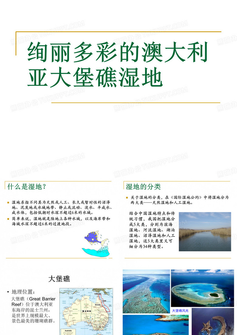 沼泽湿地和人工湿地