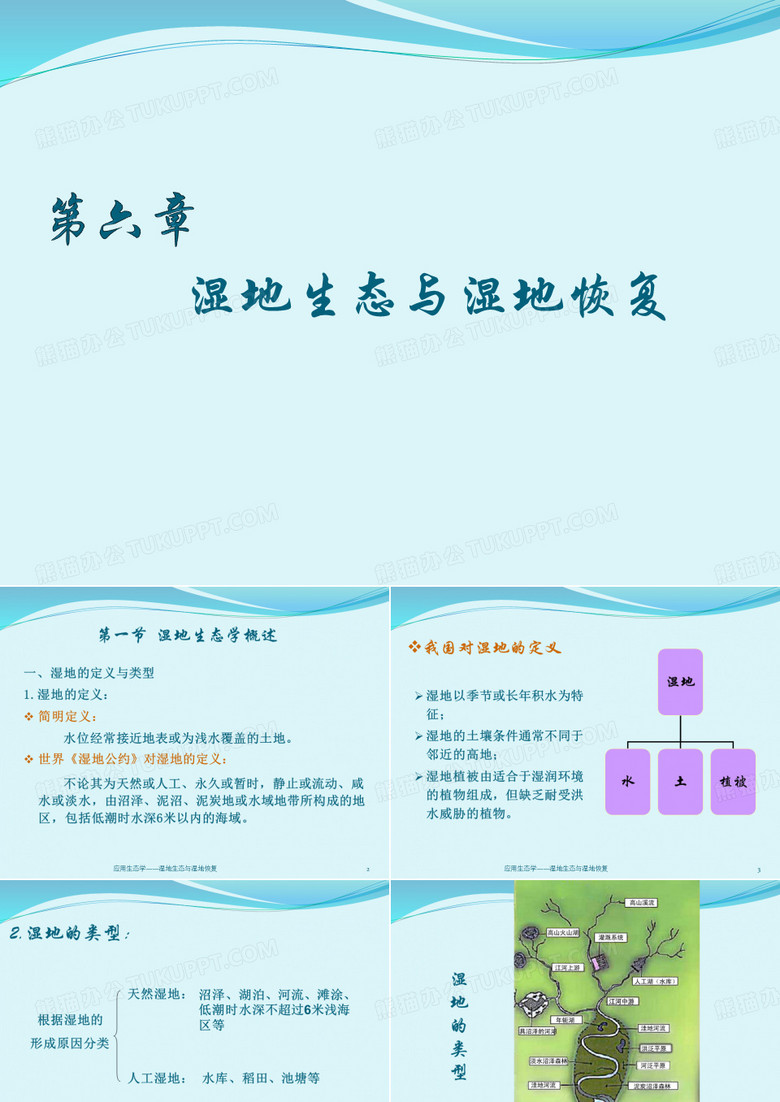 第六章+湿地生态与湿地恢复