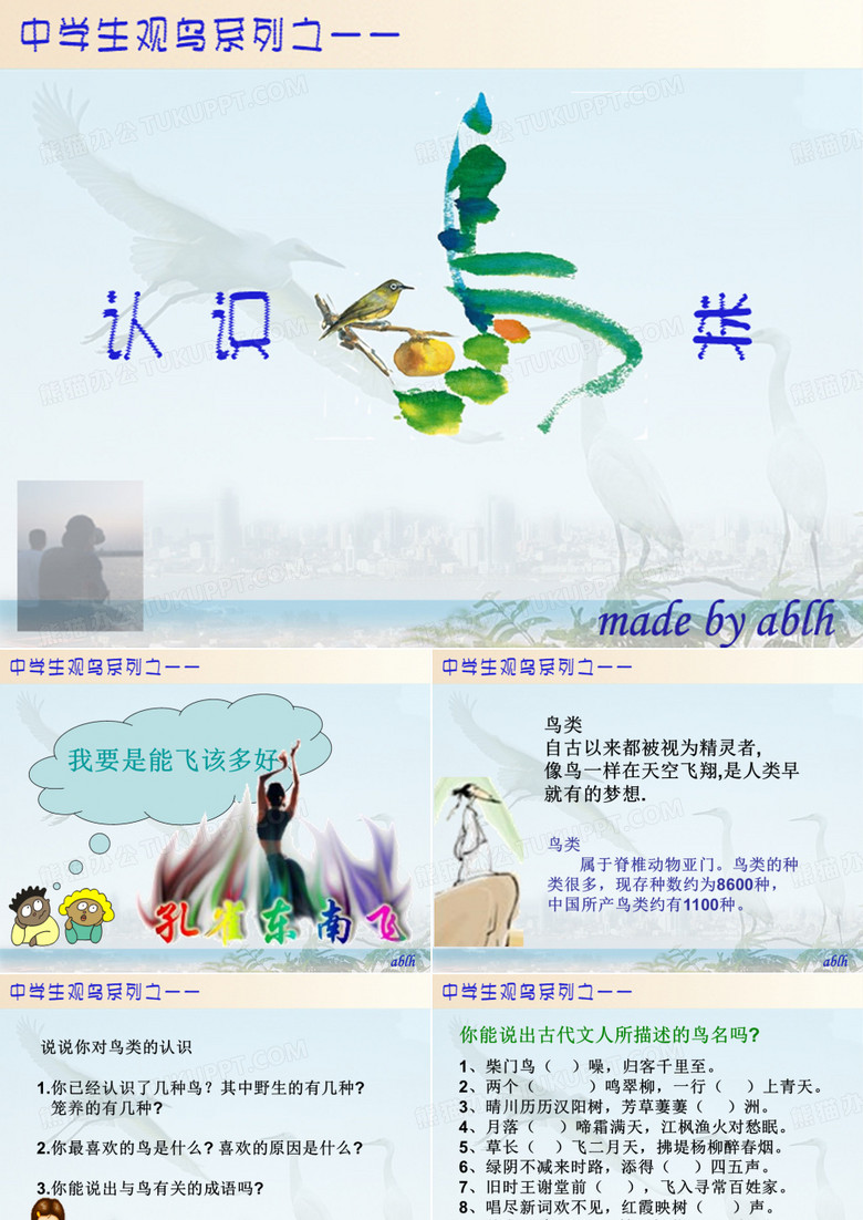 认识鸟类