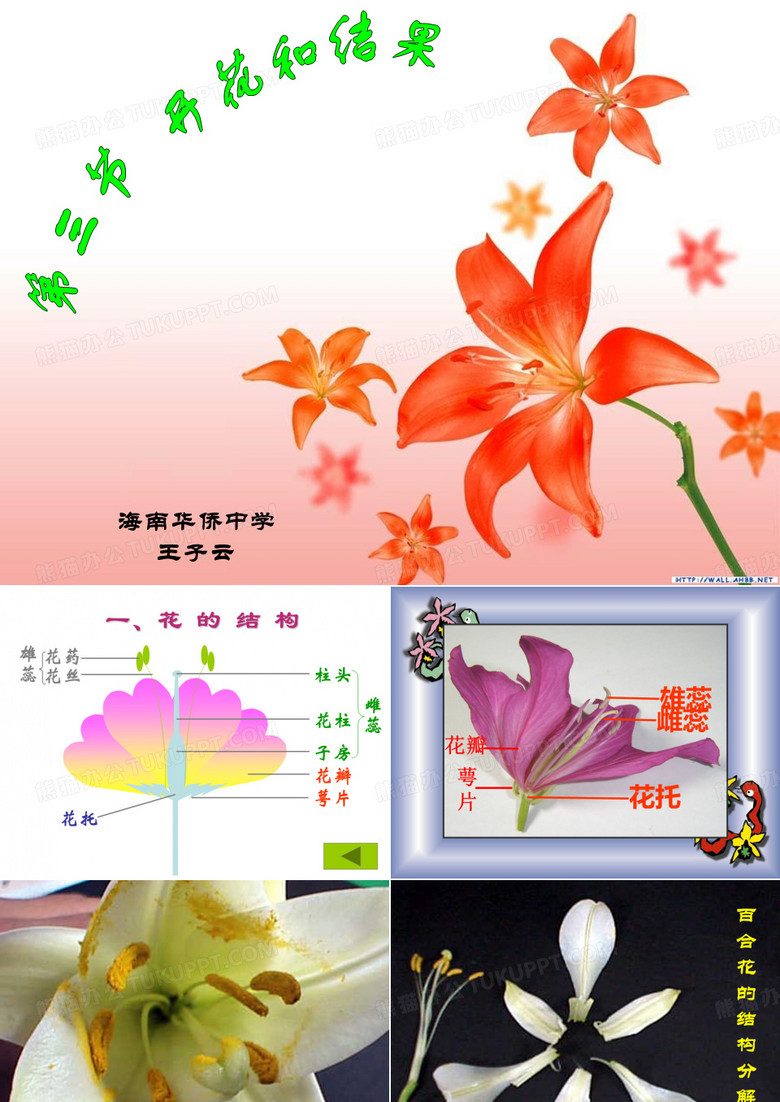 开花与结果