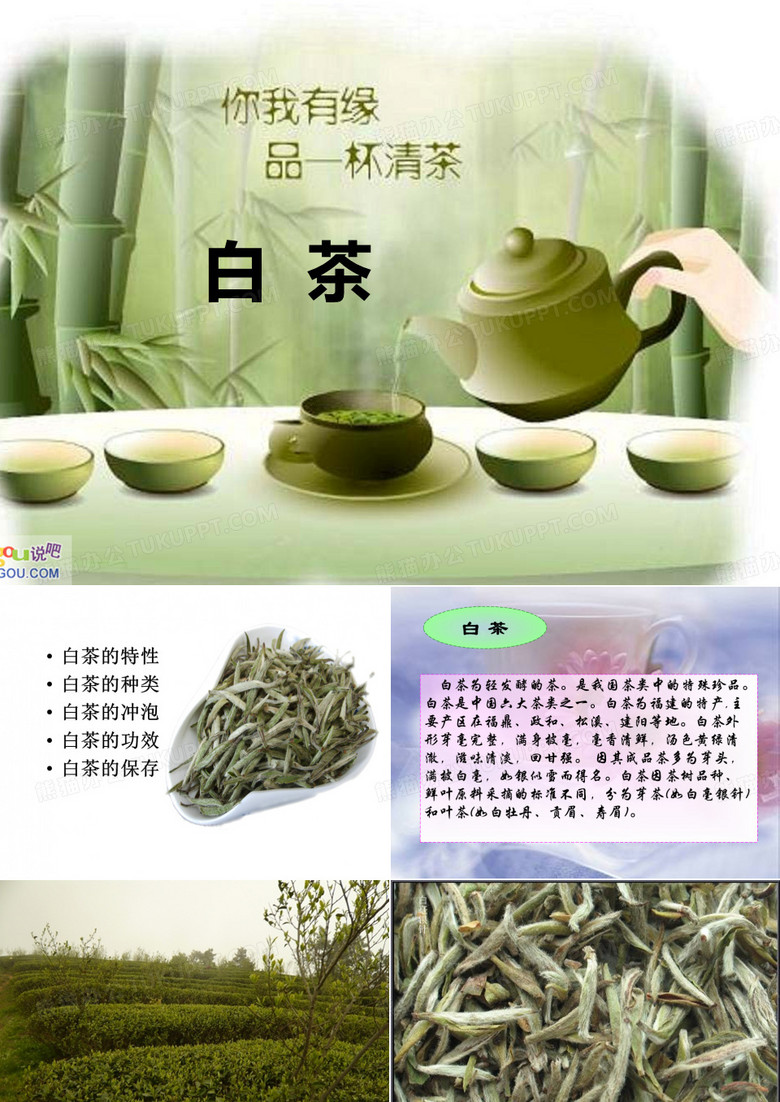 白茶