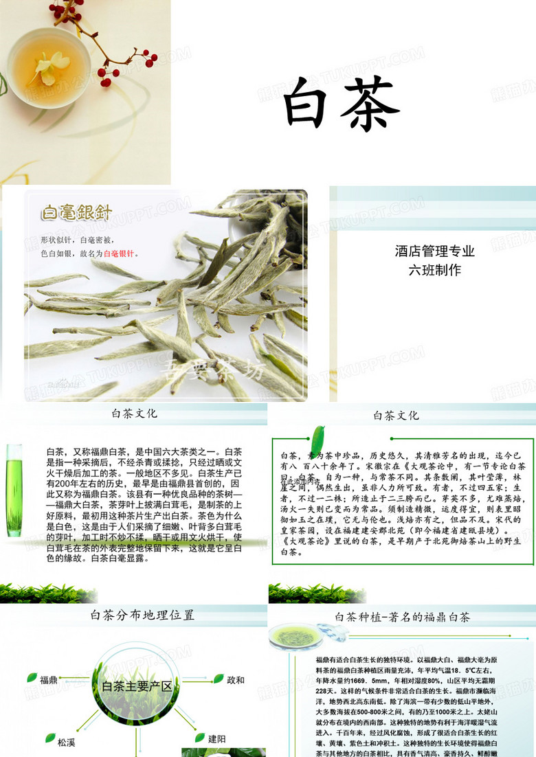 白茶
