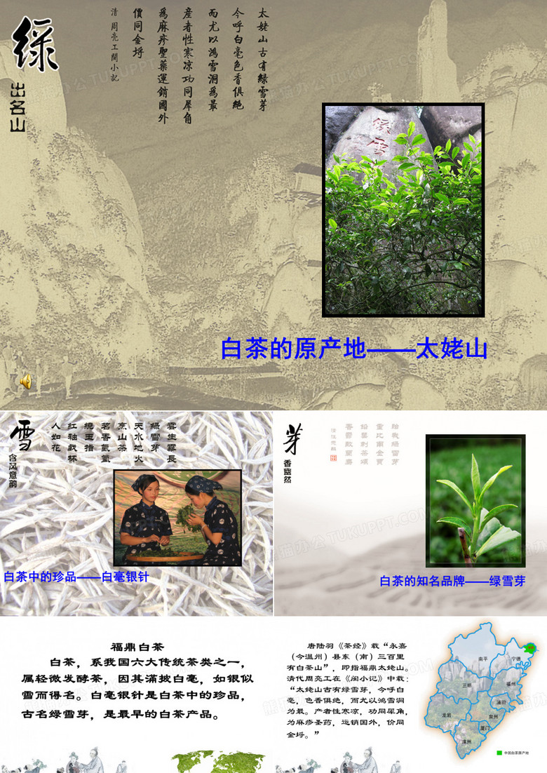 绿雪芽白茶