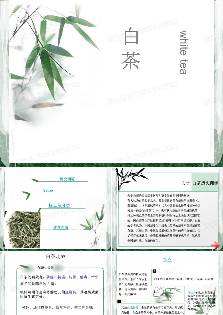 白茶介绍