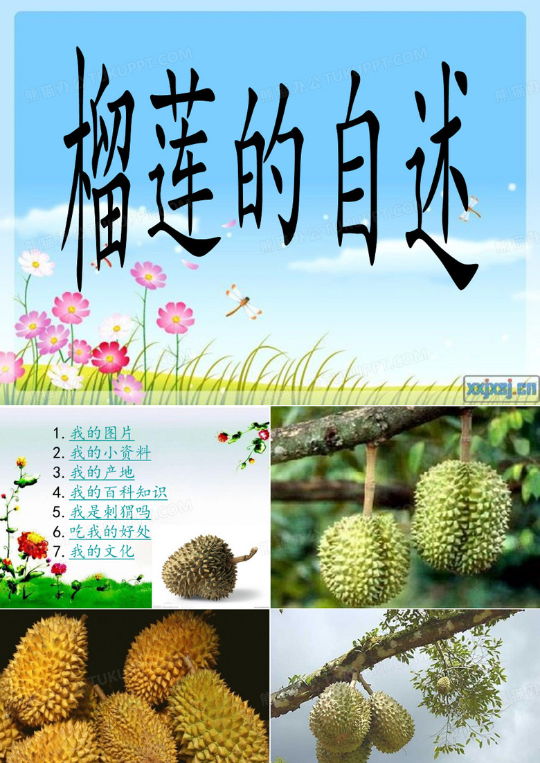 榴莲的自述