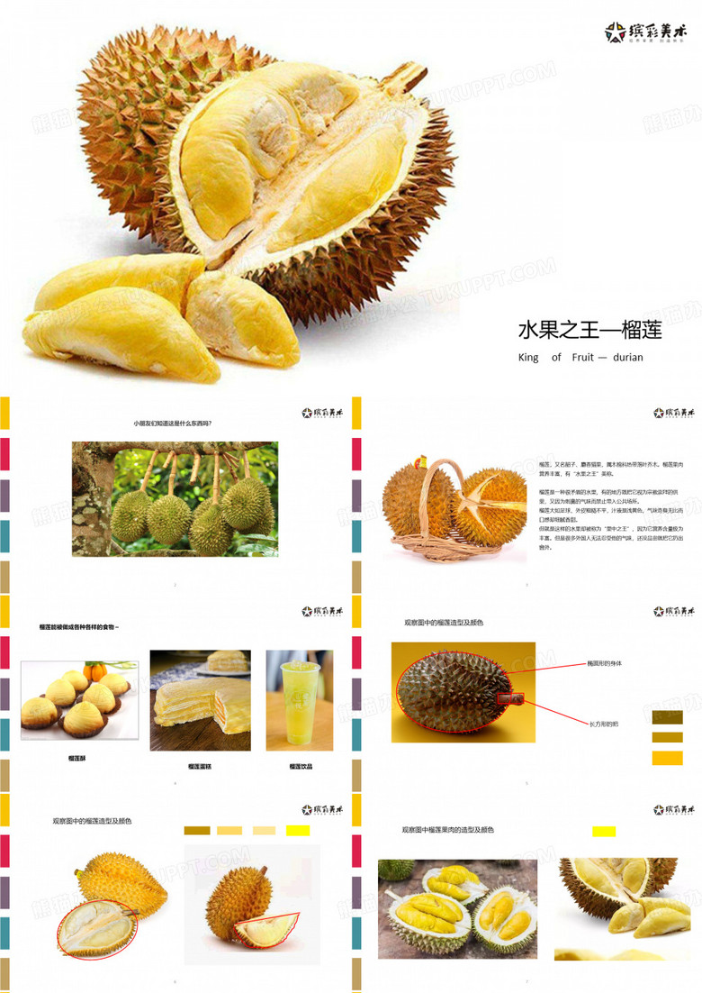 4岁-6岁  水粉画  《水果之王—榴莲》创意画 幼儿美术课件