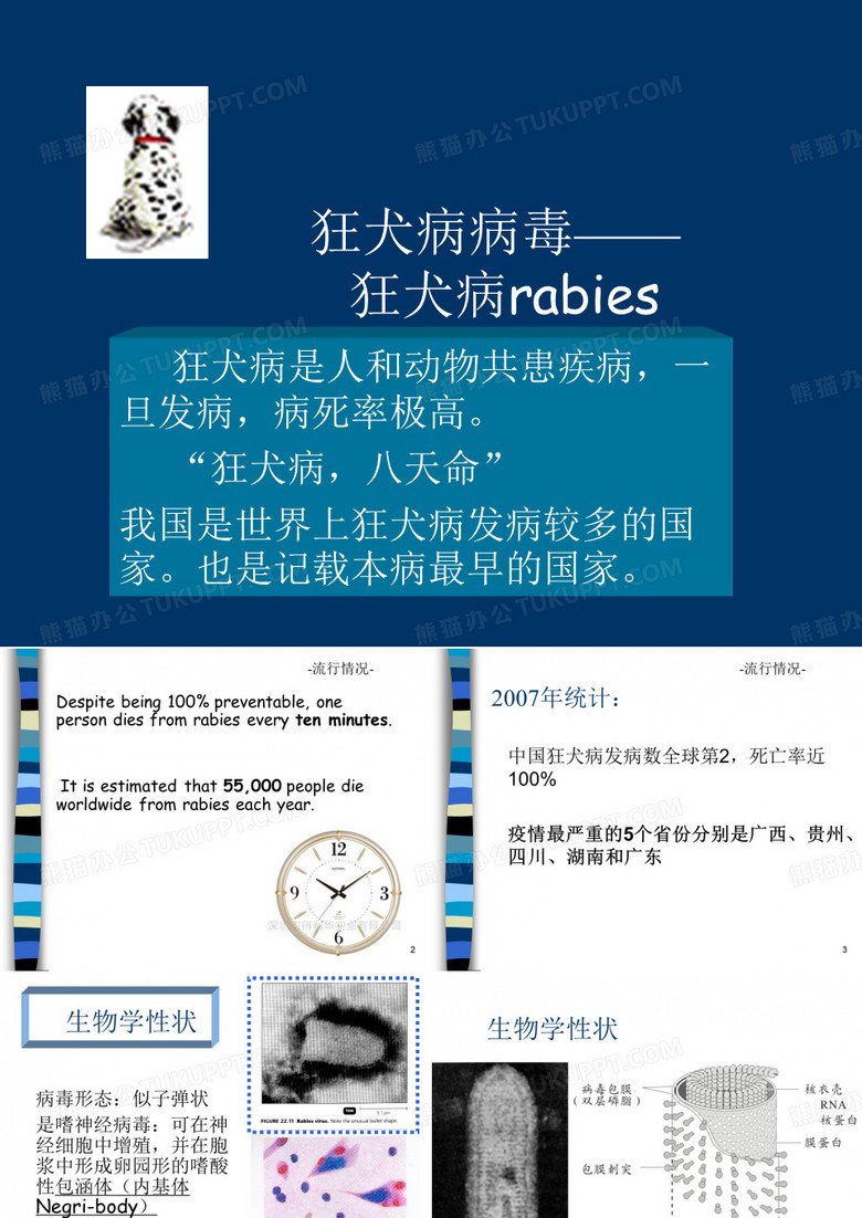 狂犬病病毒狂犬病rabies