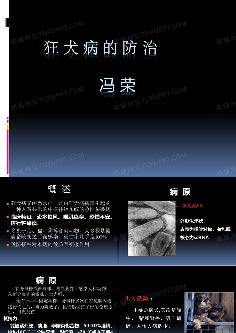 狂犬病课件