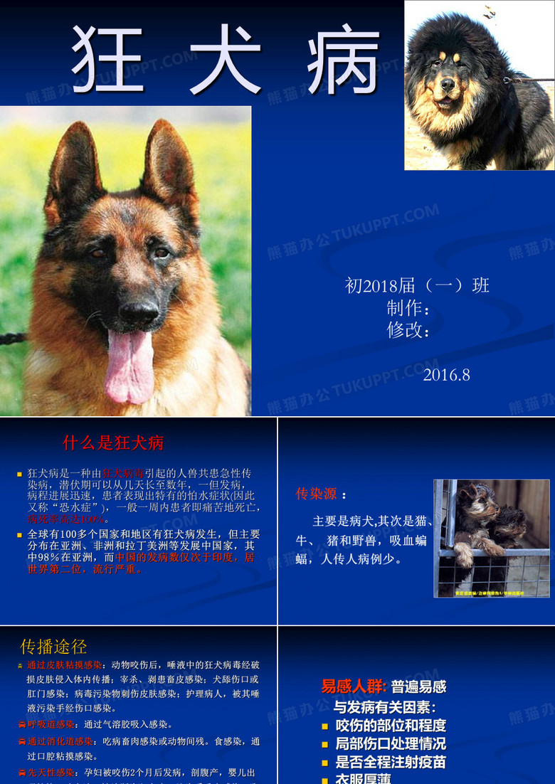 狂犬病课件