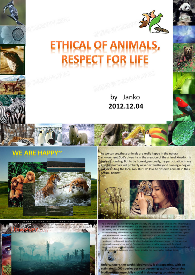 英语presentation保护濒危动物