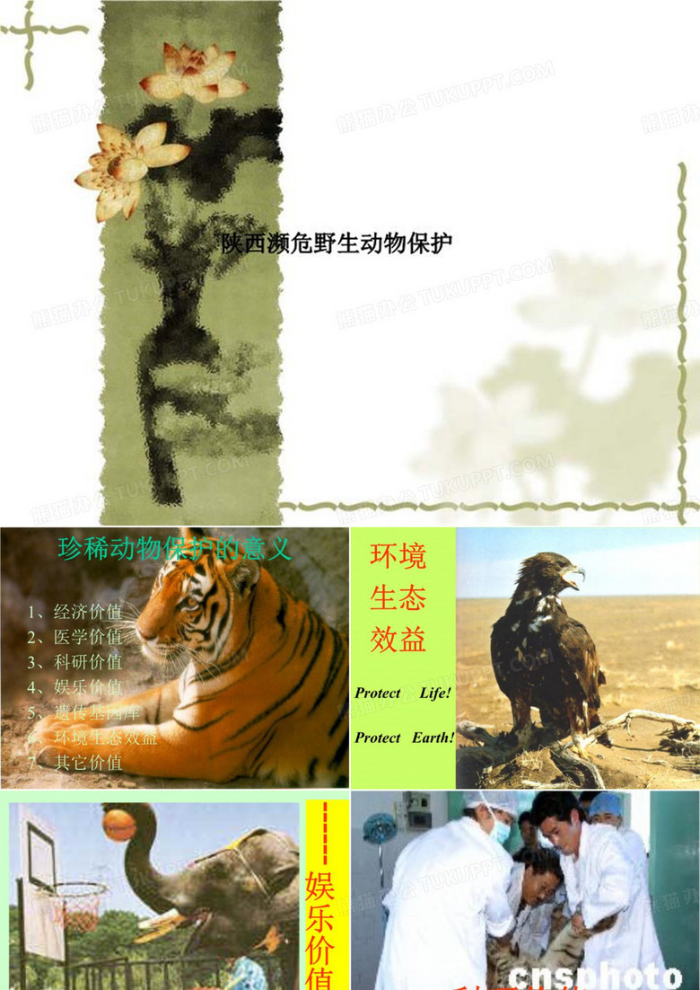 陕西濒危野生动物保护
