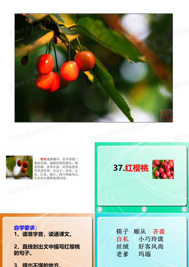 红樱桃