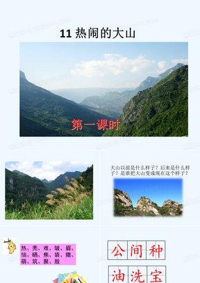 11热闹的大山PPT课件