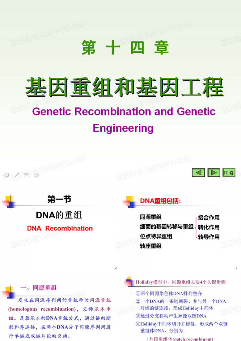 基因重组和基因工程