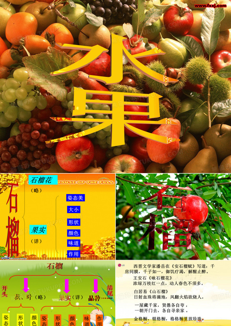 石榴