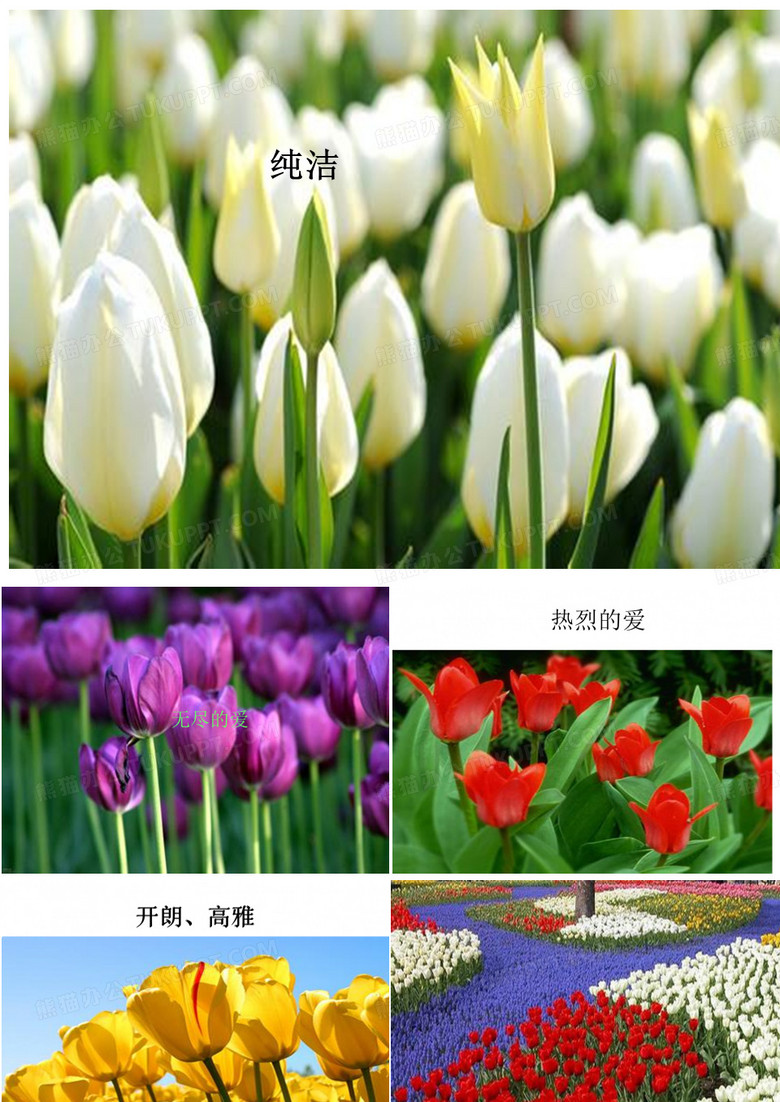 牧场