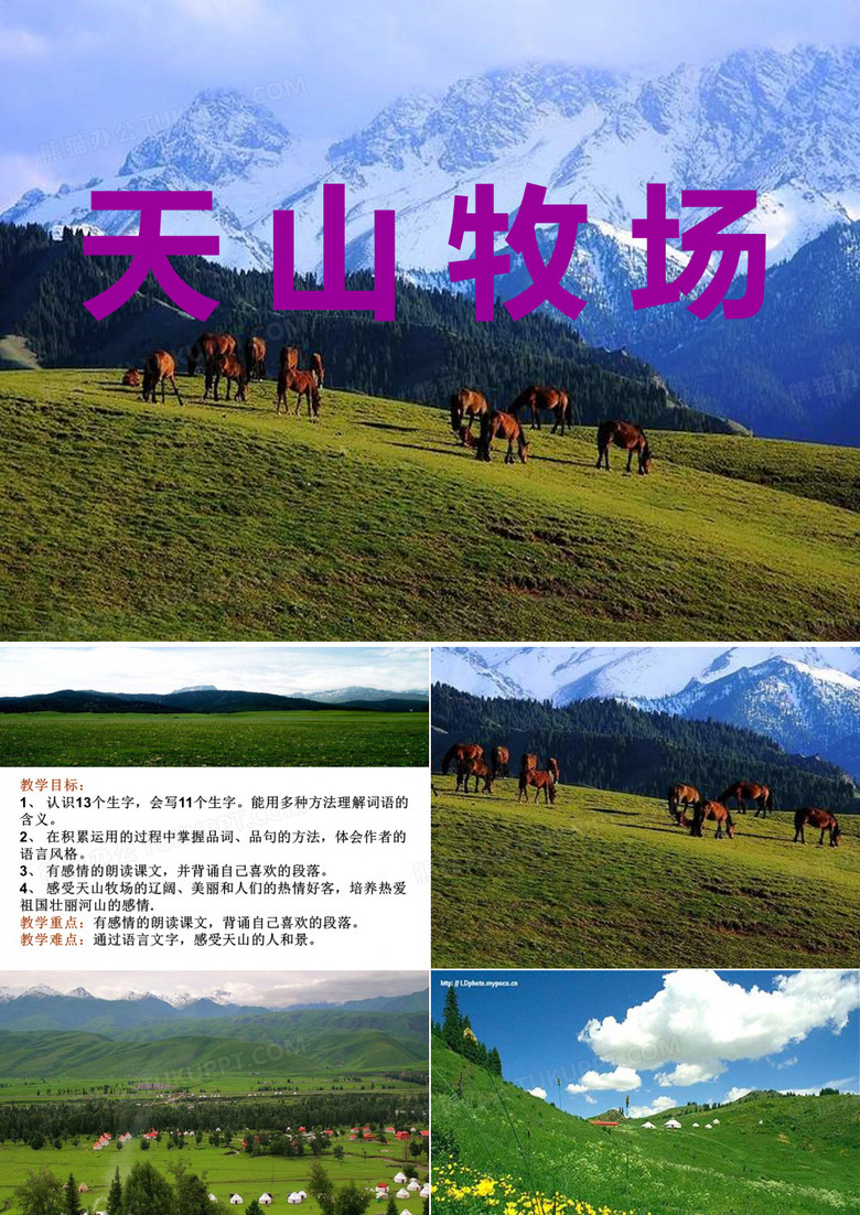 天山牧场