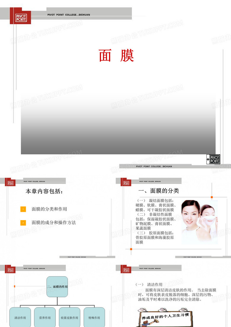 面膜ppt课件