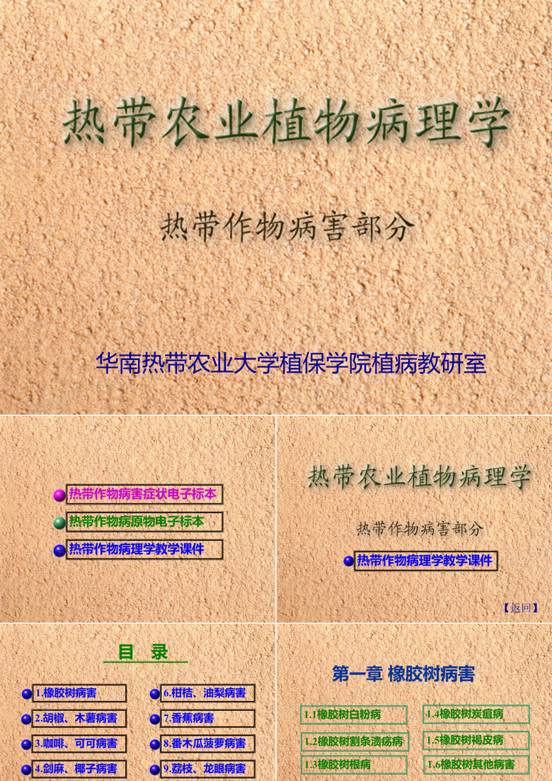 热带作物病理学-海南大学
