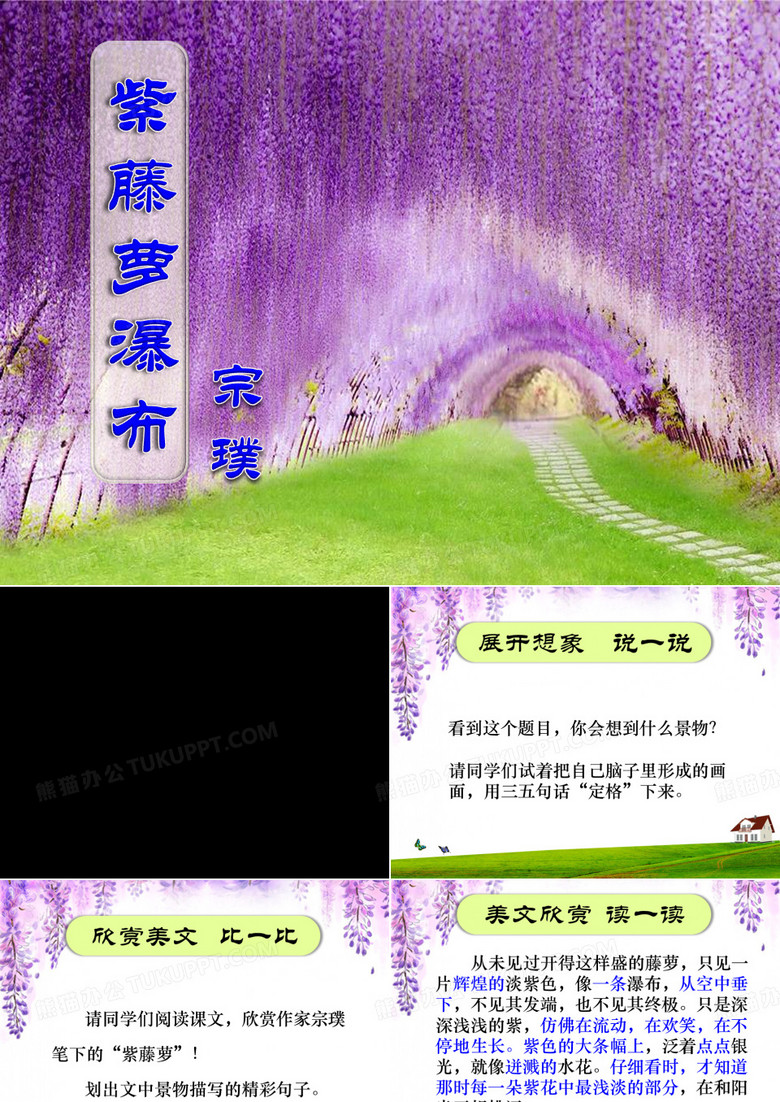 紫藤萝瀑布.