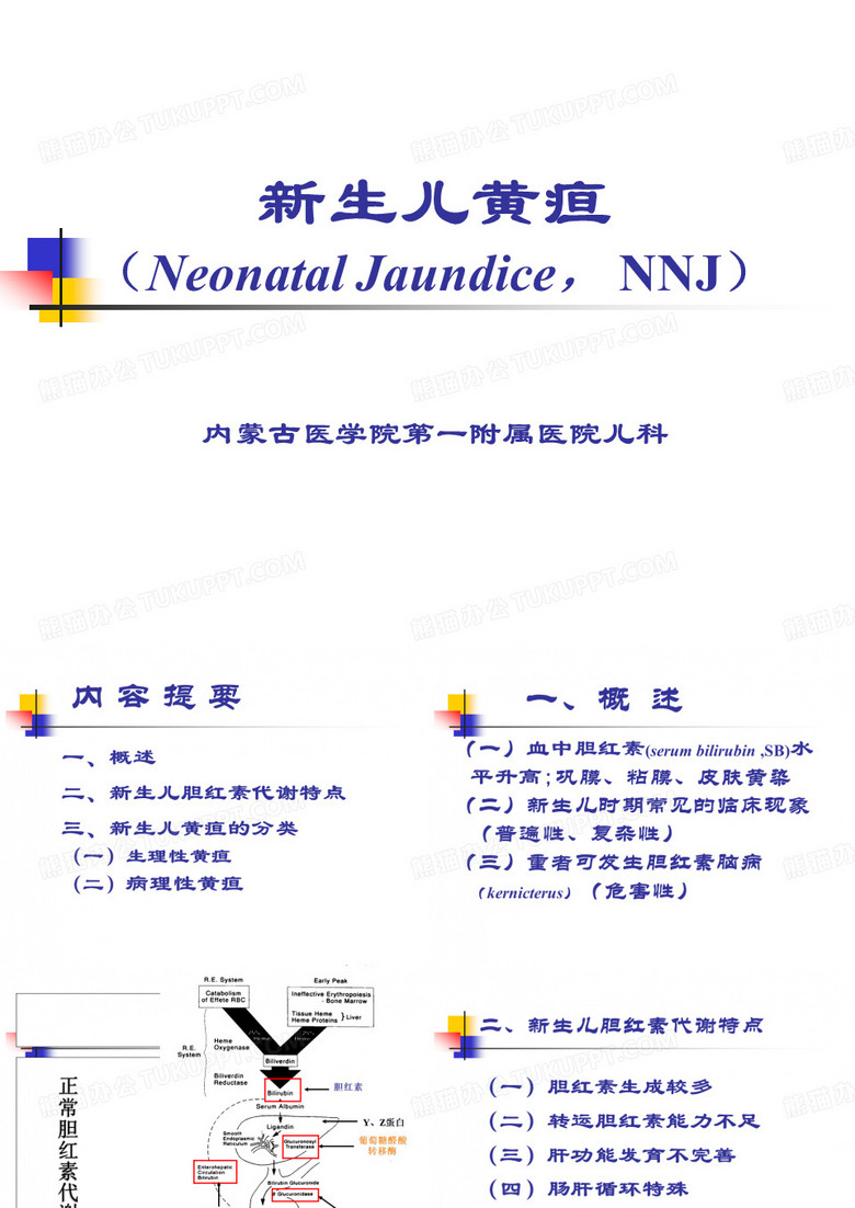 新生儿黄疸课件
