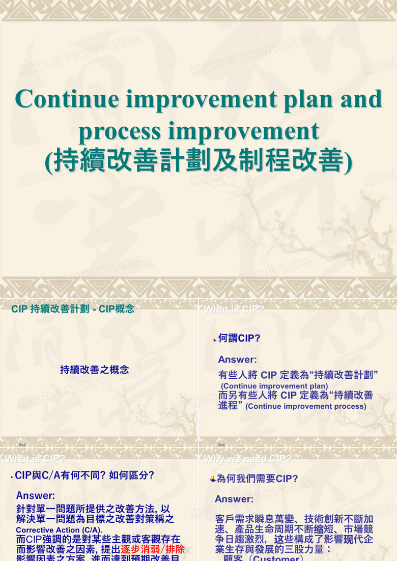 持续改善计划(CIP)及过程改善