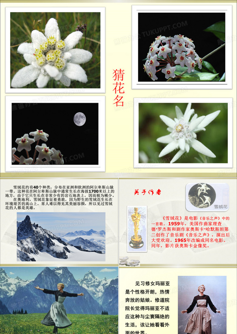 《雪绒花》课件