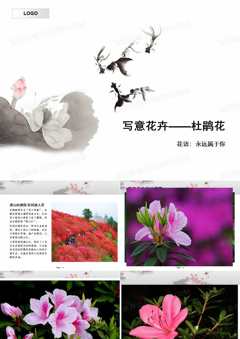 写意花卉杜鹃花
