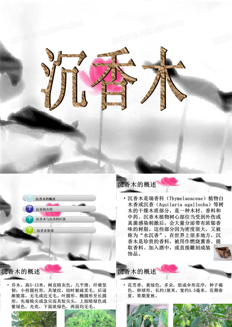 沉香木是什么样的