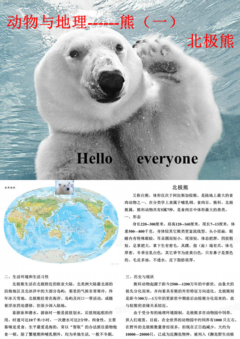 北极熊