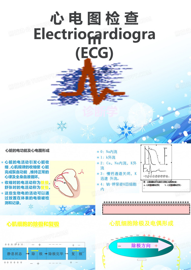 【心电图学】心电图检查