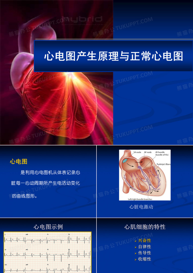 心电图产生的原理与正常心电图