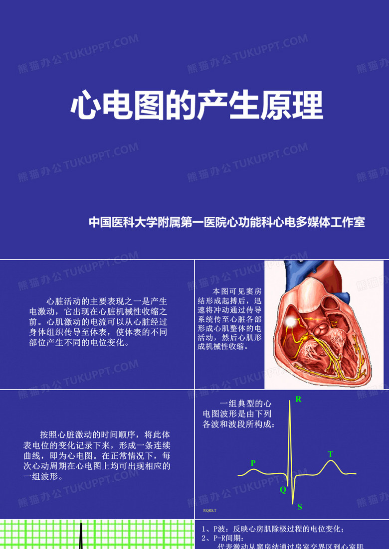 迅速看懂心电图-心电图的原理