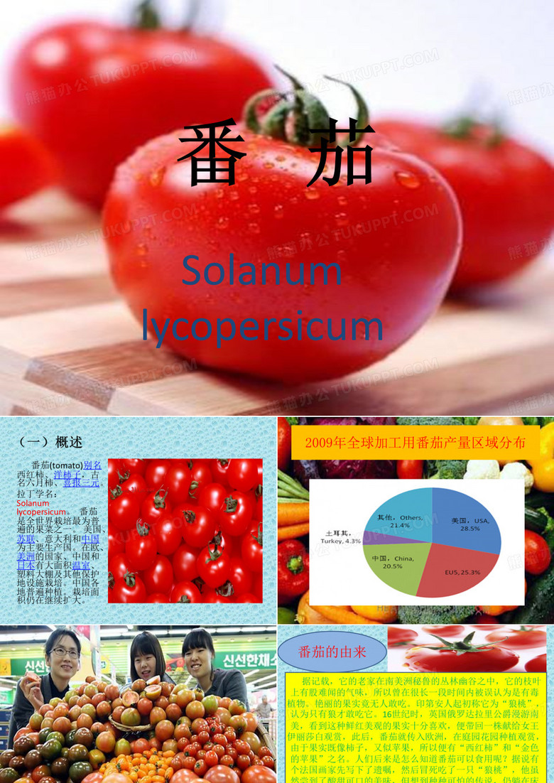 番茄简介