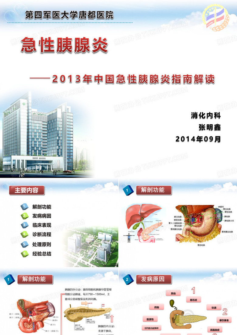 急性胰腺炎-2013年中国急性胰腺炎指南