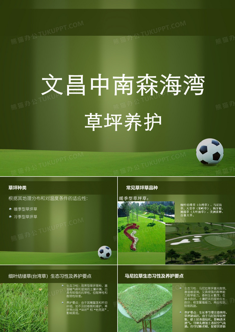 草坪养护