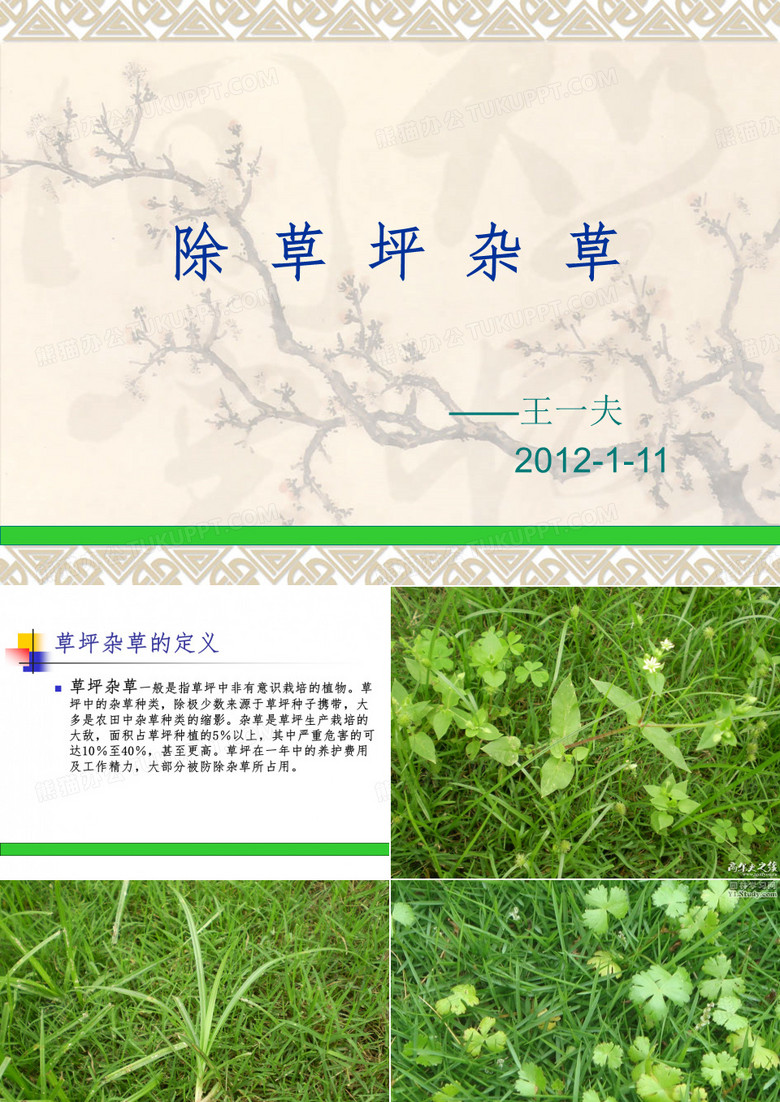 草坪除草