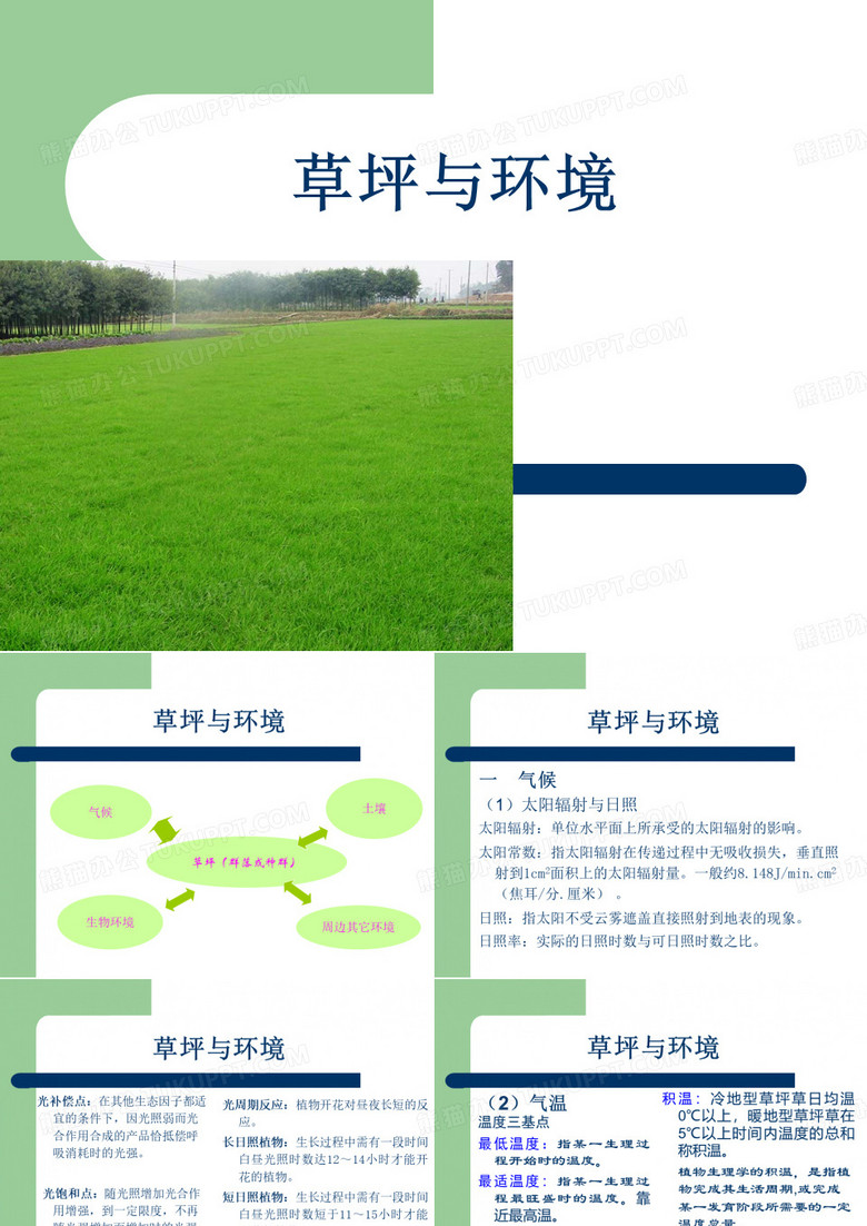 草坪环境