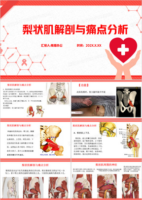 红色简约风梨状肌解剖与痛点分析PPT模板