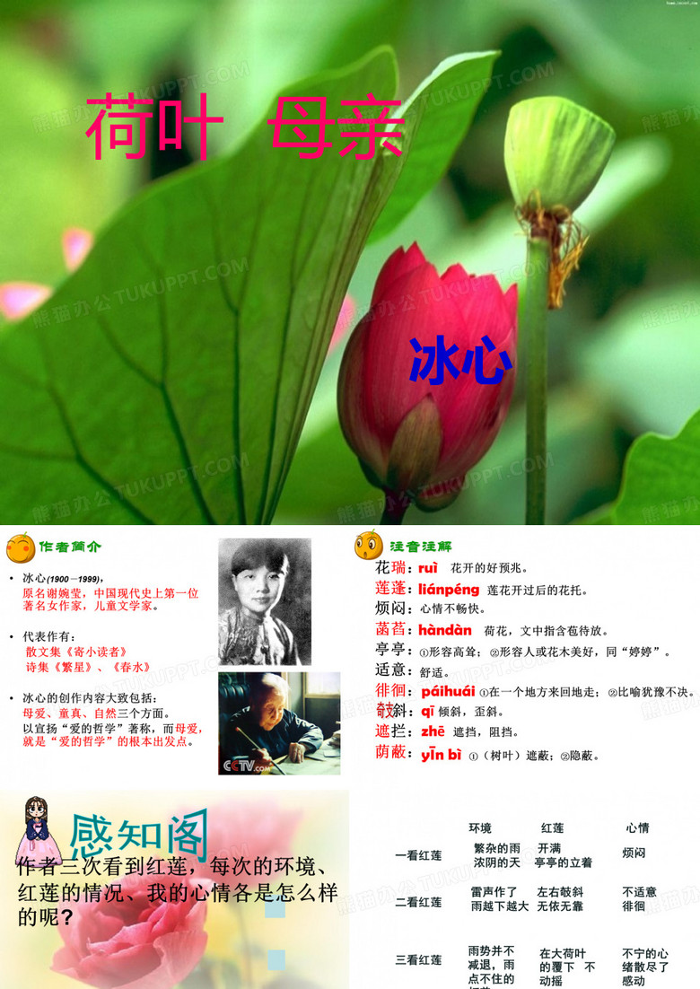 《荷叶母亲》