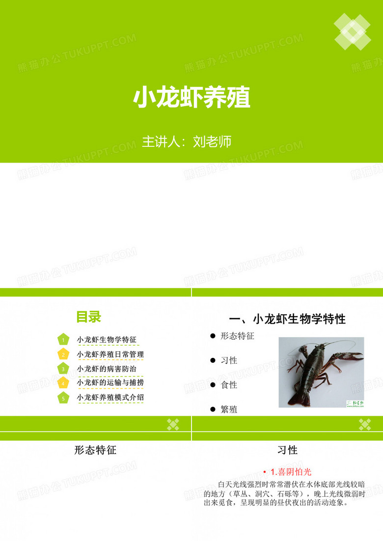 水产养殖技术小龙虾养殖讲座