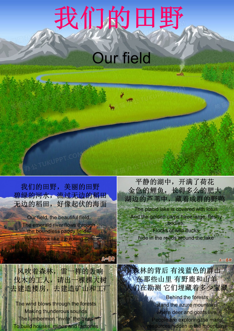 我们的田野